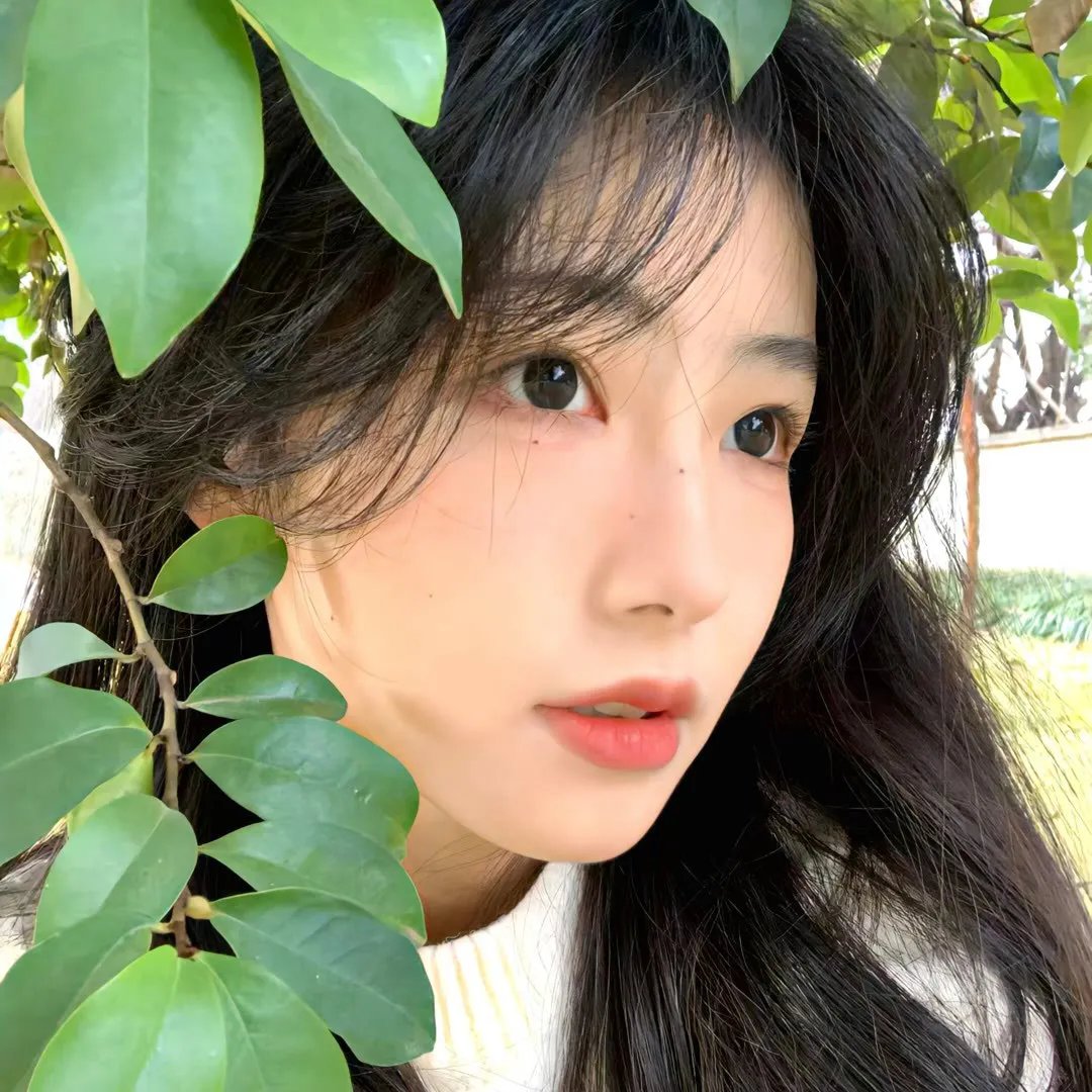 法医秦明之亡命救赎